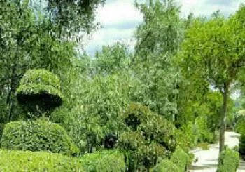 Entrada general para todo el año SIN CADUCIDAD. De Lunes a Viernes hasta las 15 horas. Sábado y Domingo desde las 10:30 a 20:30 horas en San Martín de Valdeiglesias