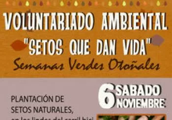 Semanas Verdes Otoñales: 
