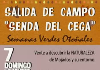 Semanas Verdes Otoñales: 