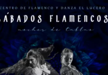 ESPECTÁCULO FLAMENCO 