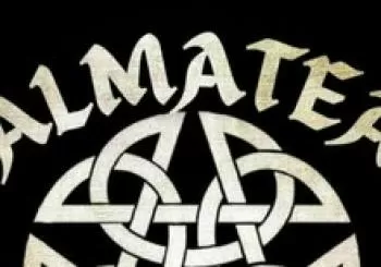 Almatea en Palma de Mallorca