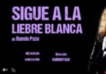 Sigue a la liebre blanca en Madrid