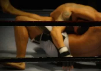 MMA - FIGHT NIGHT CONCERT en Dammarie Les Lys