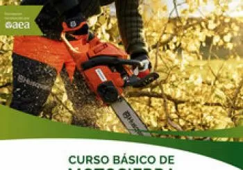 Curso Básico de Motosierra en Llucmajor