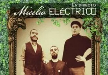 MICELIO ELÉCTRICO EN EL STEREO en Logroño