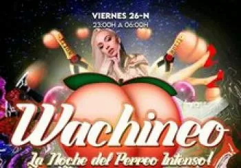 DIVENDRES 26-N WACHINEO en REUS