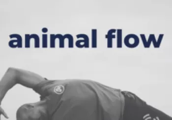 CLASE DE INICIACIÓN A ANIMAL FLOW en Santa Cruz de Tenerife