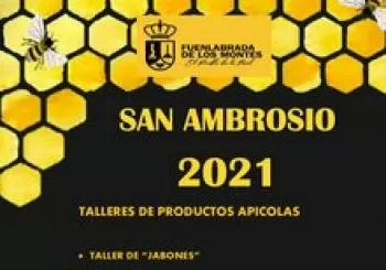TALLERES DE COSMÉTICA APÍCOLA en FUENLABRADA DE LOS MONTES