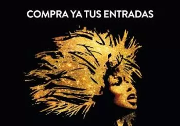 TINA el musical de Tina Turner Madrid
