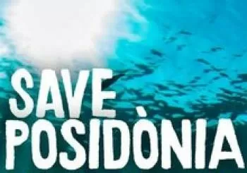 SAVE POSIDÒNIA A SA POSSESSIÓ. En Palma de Mallorca