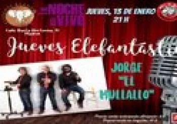 Jueves elefantásticos en Madrid