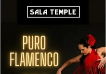 Tablao Flamenco Tradicional en Madrid