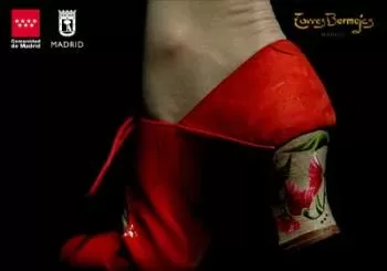Pasion por el Flamenco en Madrid