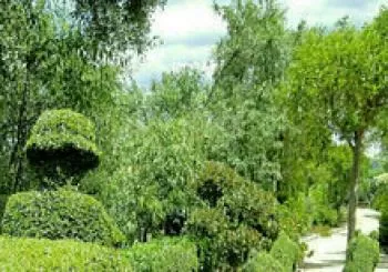 ENTRADA GENERAL . HORARIO de LUNES A MIERCOLES DE 10:30 A 15 horas, JUEVES Y VIERNES HASTA LAS 16 HORAS . SÁBADOS Y DOMINGOS DE 10:30 A 18:30 HORAS. ENTRADAS SIN CADUCIDAD en San Martín de Valdeiglesias