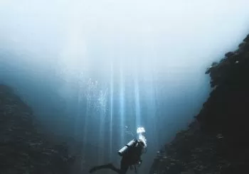 ESCENICA 
