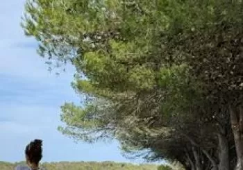 Camí de Cavalls en Sant Lluís