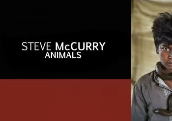 Steve McCurry. Animals en Stupinigi