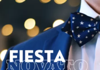 FIESTA DEL NOVATO en Villava