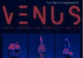 VENUS. Escena femenina para hombres (y mujeres) en Madrid