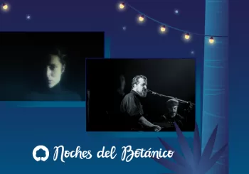 Agnes Obel John Grant - Noches del Botánico 2022 en Madrid