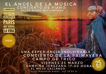 Concierto campo de trigo en Jerez de la Frontera