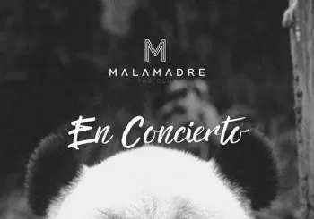 PANDA CANALLA en MÉRIDA