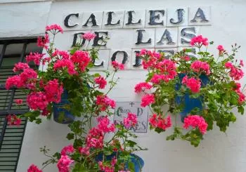 Tour Patios de (tardes) en Córdoba