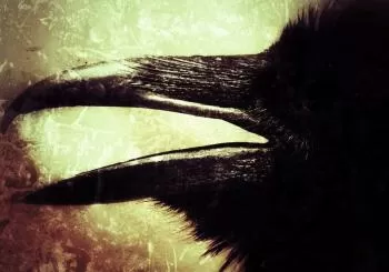 Black Dog: El regreso de los Ferrum Corvus en Barcelona