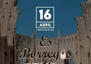BORREGOS RETURN en Son Servera