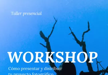 Workshop ISDERMIS en Barcelona