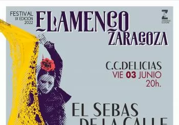 FESTIVAL FLAMENCO de ZARAGOZA. El Sebas de la Calle en Zaragoza