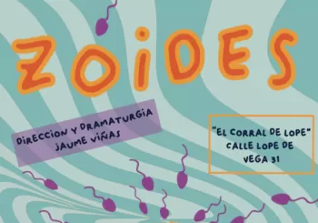 Zoides en Madrid