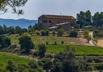 Cata bodega Sanmarti en Barcelona