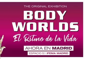 BODY WORLDS en Madrid