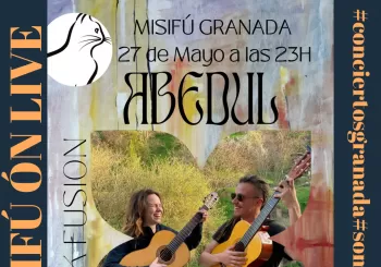 ABEDUL EN CONCIERTO en Granada