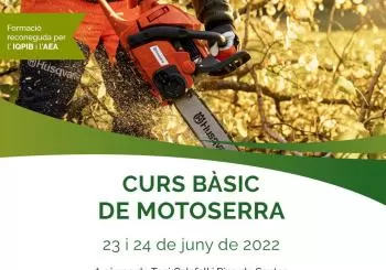 Curs Bàsic de Motoserra en Llucmajor