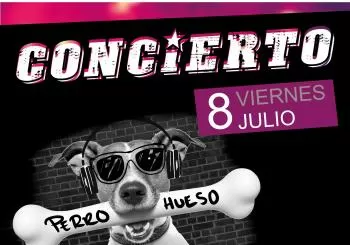 Perro Hueso en Madrid