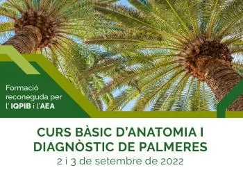 Curs Bàsic d'Anatomia i Diagnòstic de Palmeres en Palma