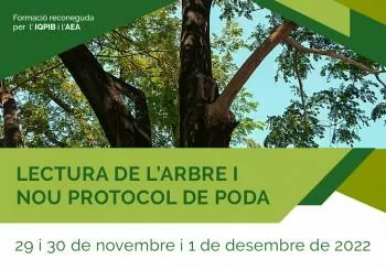 Lectura de l'Arbre i Nou Protocol de Poda en Palma