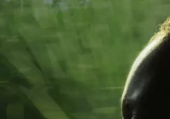 MAL DE CAÑA - Festival Cine Africano en Tarifa