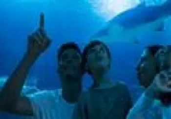 Oceanogràfic y Ciudad de las Artes y de las Ciencias en Valencia