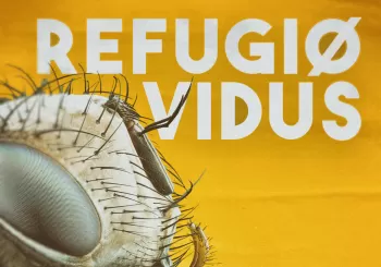 Vidus + Refugiø en el Ceferino! 03/06 en Barcelona