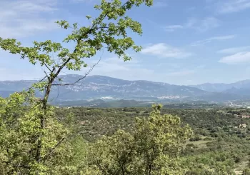 Caminada 2022. Esport, natura, patrimoni i un polsim de tecnologia! en Viladomiu Nou