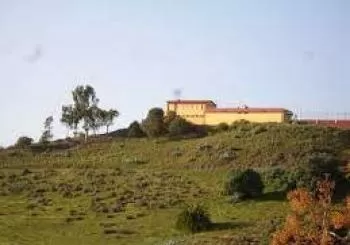 Fiestas Valle de San Roque en Valsequillo de gran canaria
