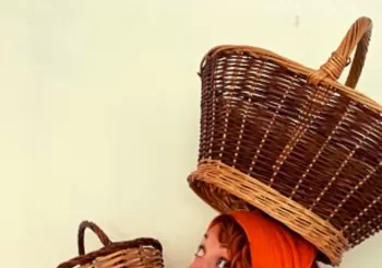 La Remeis (Laberta Delpoblet) en Sant Martí de Tous
