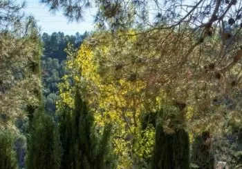 Irene i la terra adormida (Fundació Mallorca Literària i Coral Xalest) en Sant Martí de Tous
