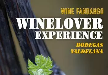 Winelover Experience con Bodegas Valdelana 07-06-22 en Logroño