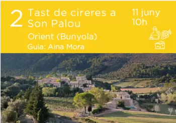 Cicle TASTOS I TALLERS. Son Palou (Orient): Visita i tast de cireres en Orient (Bunyola)