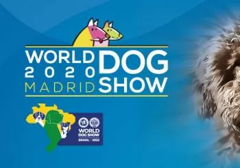 World Dog Show 2022 en Madrid