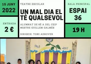 UN MAL DIA EL TÉ QUALSEVOL en Sant Llorenç des Cardassar